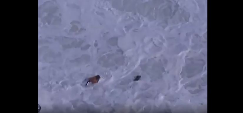 Surfista português Alex Botelho é retirado do mar inconsciente