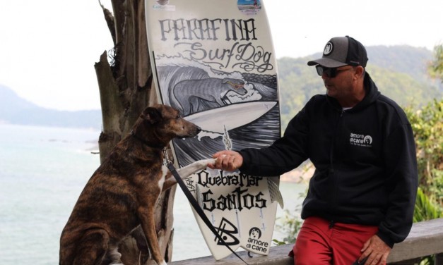 Cães surfistas são atração em campeonato de surfe estadual em Camburi