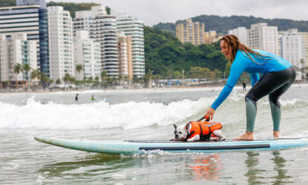 Paralisia e cegueira não impediram cadela Aisha de surfar