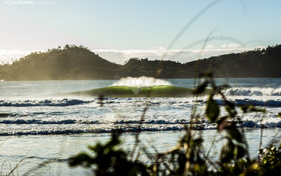 Webinário Internacional apresenta propostas para proteção dos picos de surfe no Brasil