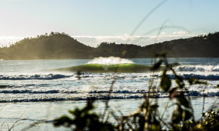 Webinário Internacional apresenta propostas para proteção dos picos de surfe no Brasil