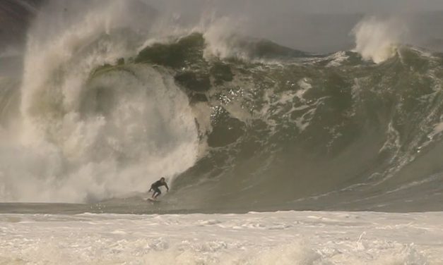 Fotos dos vencedores do Prêmio Brasileiro de Ondas Grandes; vaca assustadora também foi premiada  