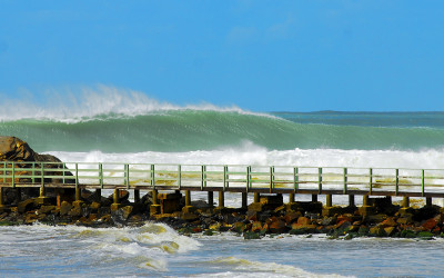 FLORIPA PRO 2022 PROMOVE PAUTAS SOCIOAMBIENTAIS