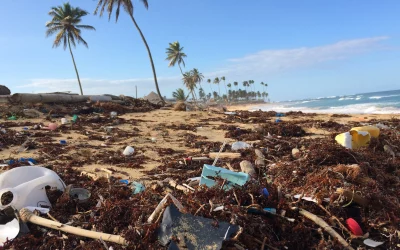 Dia Mundial de Limpeza de Praias ocorre neste final de semana