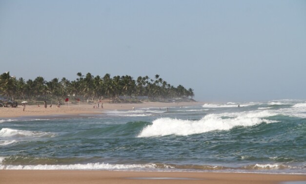 Nathalie Martins e Michael Rodrigues são os wildcards da 5ª etapa do Brasileiro de Surf