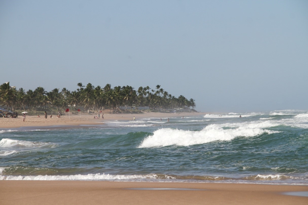 brasileiro de surf