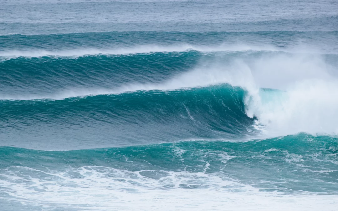 Conheça os vencedores do TUDOR Nazaré Big Wave Challenge