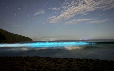 Fenômeno raro em Ubatuba deixa mar azul cintilante